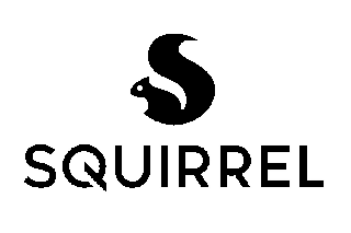 Squirrel Systems --logo